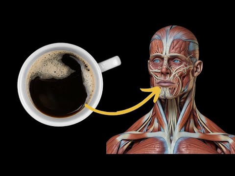 What Happens To Your Body When You Drink Coffee Every Day