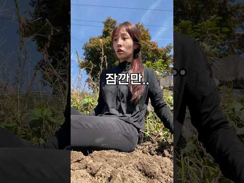 수확하고 돌아온 아내🔥 #shorts #영농부부