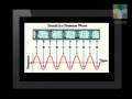 Exploring Longitudinal Waves in Grade 7 Science