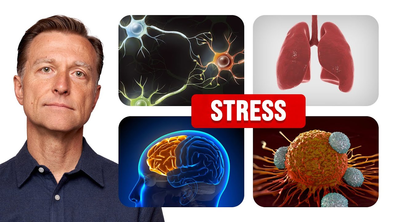 How Worry and Stress Affects You at the Cellular Level￼