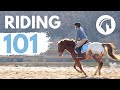 Horse Riding Techniques and Care