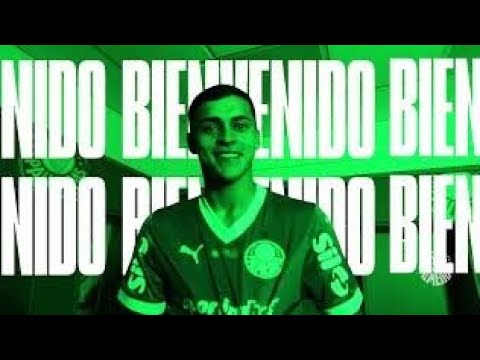 image para ilustrar o artigo