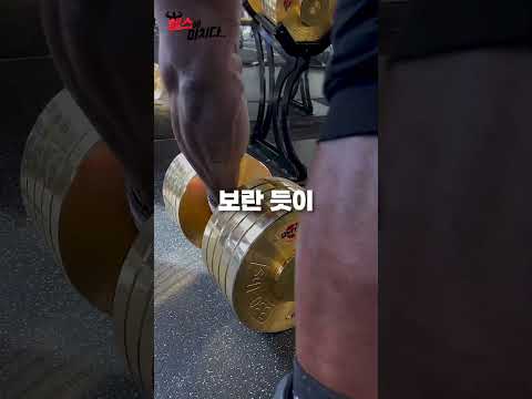 관상용 덤벨을 들어버리는 사람들..