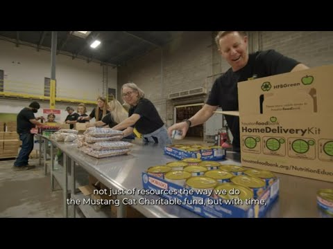 Mustang Cat - Days of Service