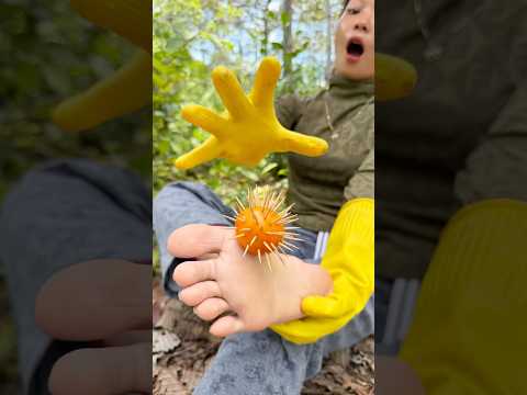 Survival Skills: SMART idea and USEFUL with single mom in Forest #bushcraft #camping #outdoors