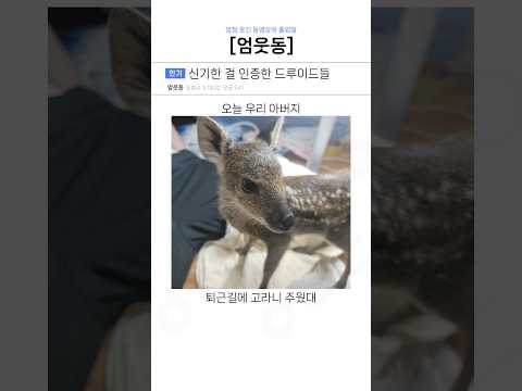 신기한 걸 인증한 드루이드들ㅋㅋ