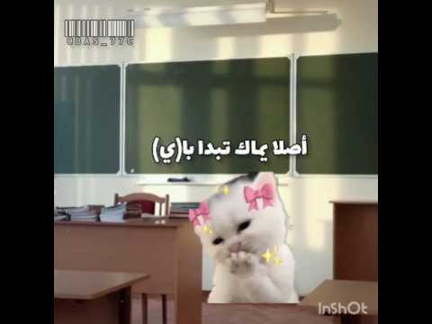 كل قسم في تلميذ هيك🥲#قربنا لـ 10k#مهتم بي هذا المحتوى فولو مي 🎀#لايك_اشتراك#اللهم انصر اهلنا في غزة