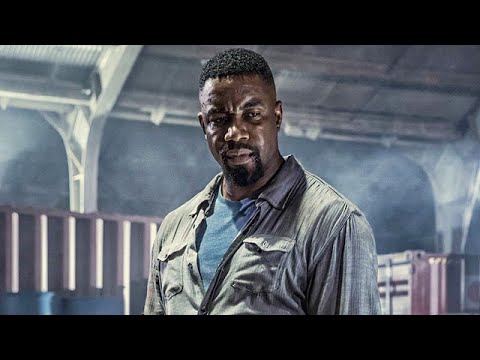 Michael J  White | Falcon rising