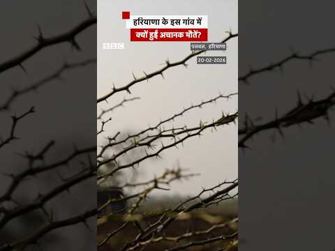 Haryana के एक गांव में 24 दिन में कई मौतें, क्या है ये पूरा मामला? | Palwal | (BBC Hindi)