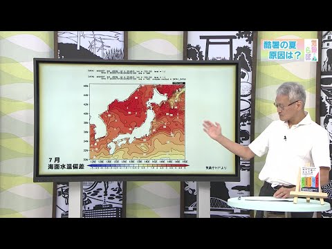 気象らぼ「酷暑の夏、原因は？」
