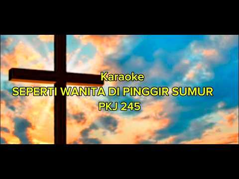 SEPERTI WANITA DI PINGGIR SUMUR PKJ 245