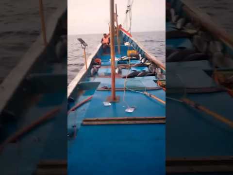 very bad luck 😔😔 #fishing #hunting #seafood #localboynaveen #pudimadaka