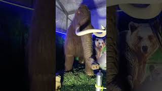 Mela 🎡🐼🎡 Raipur First Time In Robotik Zoo 😱🥳🙏