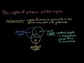 Understanding Political Rights