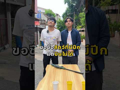 คนถามจะหลุด คนตอบจะรั่ว สรุปเป็ดบินหรือร่อน??🤣 #drไม่เต็ม #drmaitem #ความรู้ #shorts