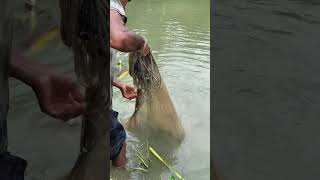 Village Fishing #best_fishing #fishing #fishng #fish