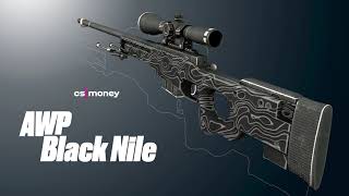 AWP Black Nile Gameplay