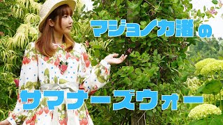 【サマナーズウォー】ストリートファイターⅤコラボ召喚をサマナメイトで引くよ！