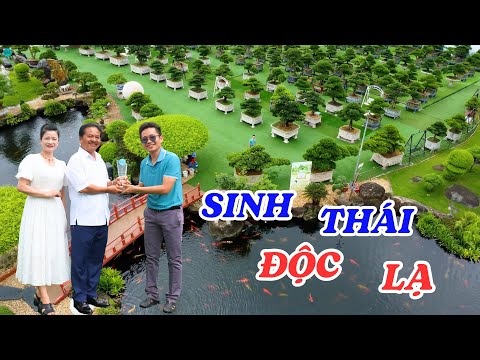 Đại gia chi cả núi tiền để sở hữu những cây cảnh độc đáo nhất Việt Nam - ĐỘC LẠ BÌNH DƯƠNG