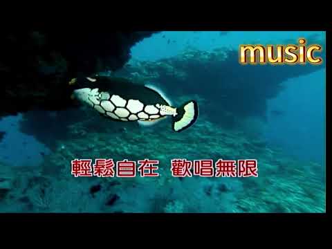 一場遊戲一場夢~王傑KTV 伴奏 no vocal 無人聲 music 純音樂 karaoke 卡拉OK 伴唱一場遊戲一場夢~王傑