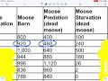 Population Dynamics and Wolf Studies