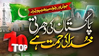 Viral Independence Song oF Pakistan || Pakistan Pakisatan || 14 August Special