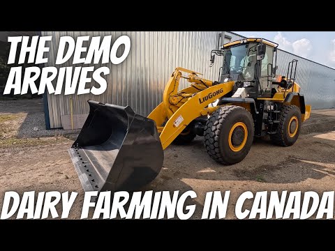 A New Toy Shows Up To The Farm!