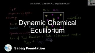 Dynamic Chemical  Equilibrium