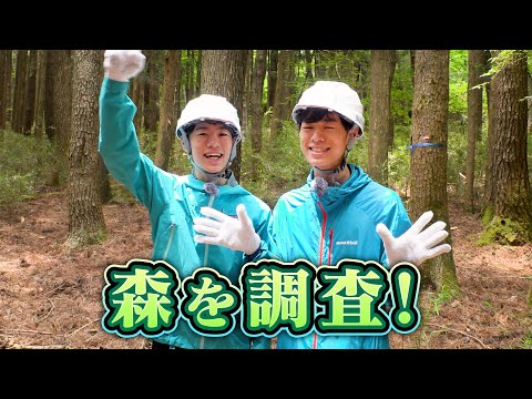 高校生と森を探検してみた。