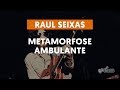 Videoaula Metamorfose Ambulante (aula de violão simplificada)