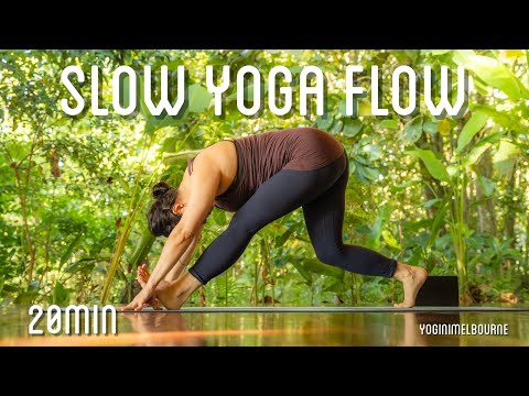 Slow flow full body morning yoga | 20min