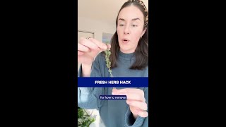 Fresh Herb Hack
