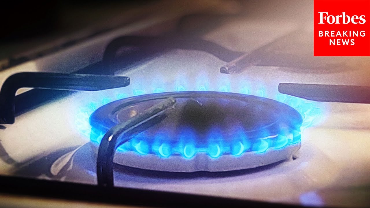 Department Of Energy Official Testifies In Front Of House Oversight Committee On Gas Stove Rule