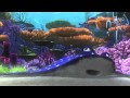 Exploring Nemo's World