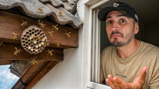 Großes PROBLEM...WESPENNEST im DACH🐝 | Wohnungsprojekt #10