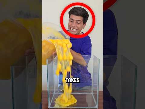 Feeding Hungry Kids 256 Eggs ๐ฅบ