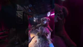 POV: Your friend went missing