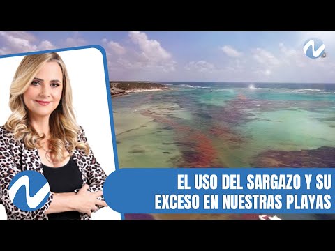 El uso del sargazo y su exceso en nuestras playas | Nuria Piera