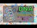 DNA Structure and Function Concepts
