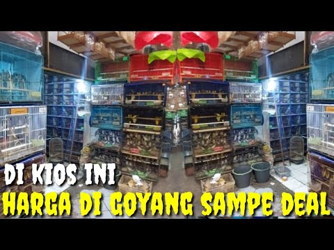 JANGAN KAGET DGN HARGA ! SEMUANYA MASIH BISA DI GOYANG SAMPAI DEAL