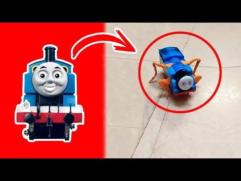 Thomas en la Vida real