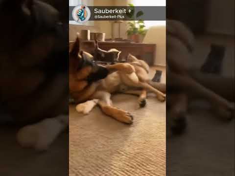 She wasn’t invited to nap time 💀