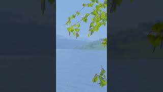Take a break from scrolling for 1 minute and relax with Soothing Relaxation 💚