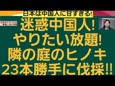 迷惑中国人！やりたい放題！隣の庭のヒノキ23本勝手に伐採‼