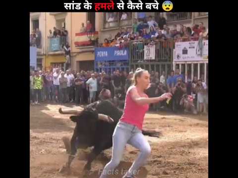 What To Do If a Mad Bull Starts Chasing You |🤔 #shorts