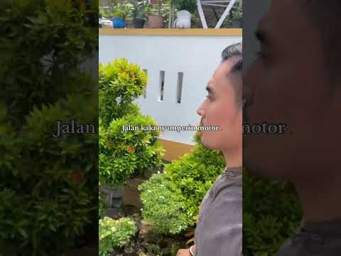 Suami wajib pamitan #istribahagia #suamiistri #suamiku