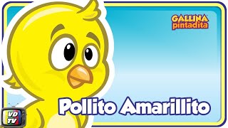 Pollito Amarillito - Gallina Pintadita 1