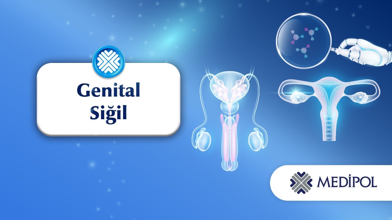 Genital Siğilde Nelere Dikkat Edilmelidir?│Prof. Dr. Ali Balevi