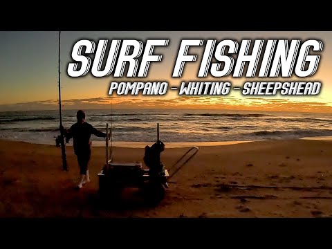 Surf Fishing is the Best! - Relaxing and Great Eating Fish