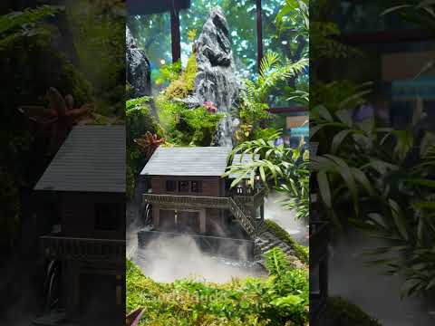 Thiên nhiên quanh ta.. một khu vườn nhỏ nhưng mang lại cảm giác như cả khu rừng xanh.. #Sudidaudo